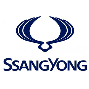 Ricambi per SSANGYONG